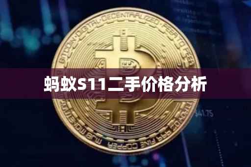 蚂蚁S11二手价格分析