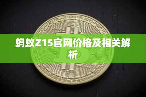 蚂蚁Z15官网价格及相关解析