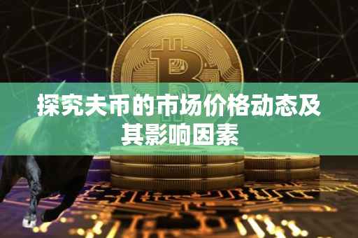 探究夫币的市场价格动态及其影响因素