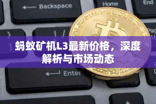 蚂蚁矿机L3最新价格，深度解析与市场动态