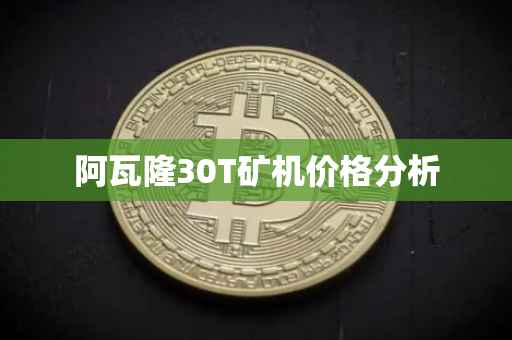 阿瓦隆30T矿机价格分析