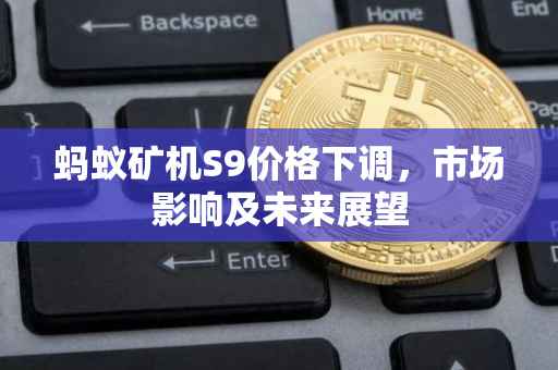 蚂蚁矿机S9价格下调，市场影响及未来展望
