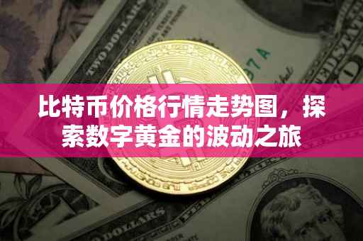 比特币价格行情走势图，探索数字黄金的波动之旅