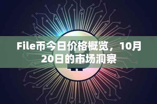 File币今日价格概览，10月20日的市场洞察