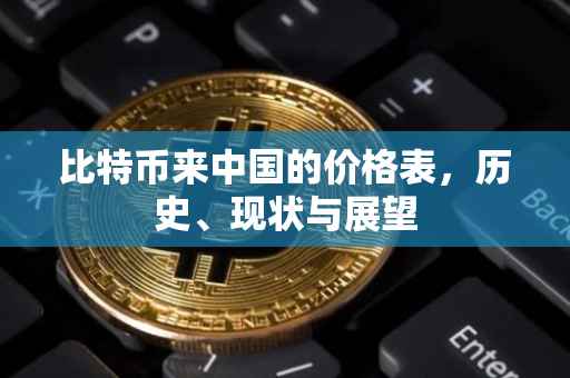 比特币来中国的价格表，历史、现状与展望