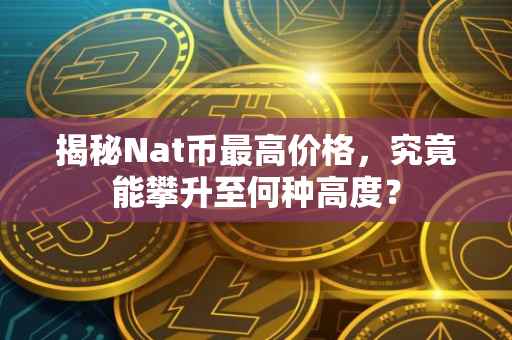 揭秘Nat币最高价格，究竟能攀升至何种高度？