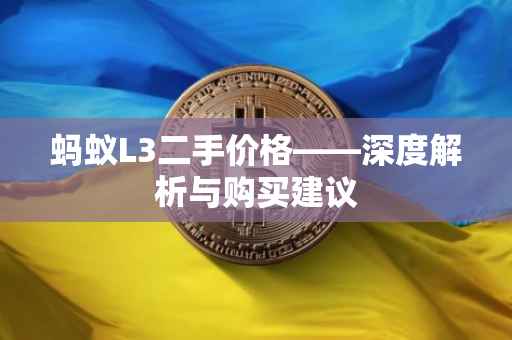 蚂蚁L3二手价格——深度解析与购买建议