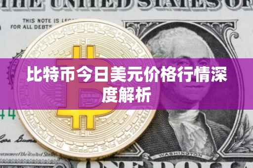 比特币今日美元价格行情深度解析