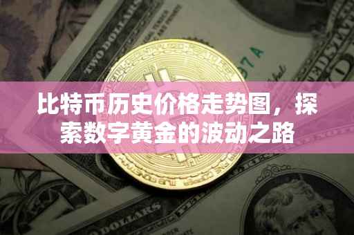 比特币历史价格走势图，探索数字黄金的波动之路