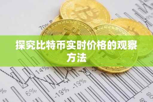 探究比特币实时价格的观察方法