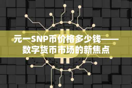 元一SNP币价格多少钱——数字货币市场的新焦点