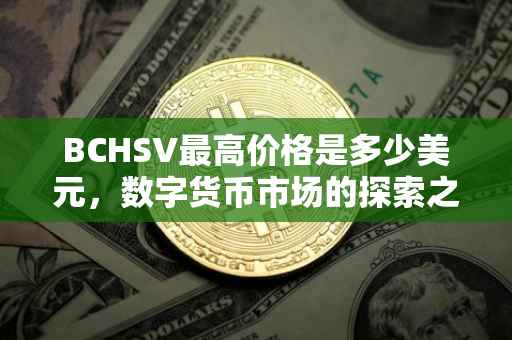 BCHSV最高价格是多少美元，数字货币市场的探索之旅