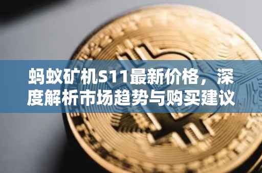 蚂蚁矿机S11最新价格，深度解析市场趋势与购买建议
