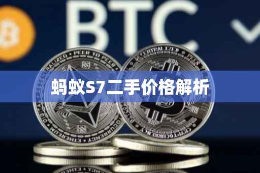 蚂蚁S7二手价格解析
