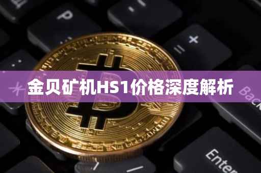 金贝矿机HS1价格深度解析