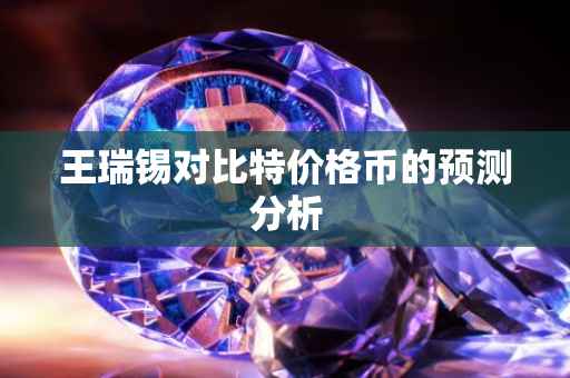 王瑞锡对比特价格币的预测分析