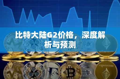比特大陆G2价格，深度解析与预测