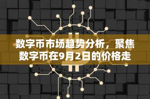 数字币市场趋势分析，聚焦数字币在9月2日的价格走势