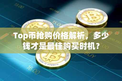 Top币抢购价格解析，多少钱才是最佳购买时机？