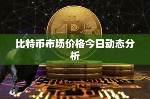 比特币市场价格今日动态分析