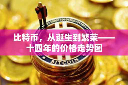 比特币，从诞生到繁荣——十四年的价格走势图