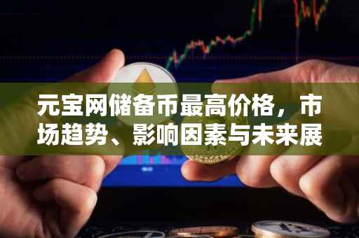 元宝网储备币最高价格，市场趋势、影响因素与未来展望