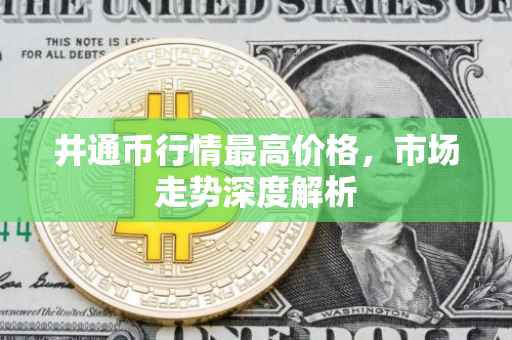 井通币行情最高价格，市场走势深度解析
