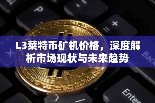 L3莱特币矿机价格，深度解析市场现状与未来趋势