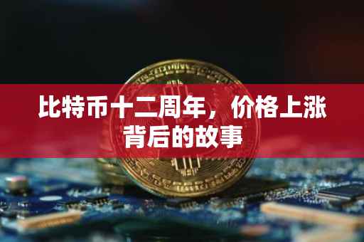 比特币十二周年，价格上涨背后的故事