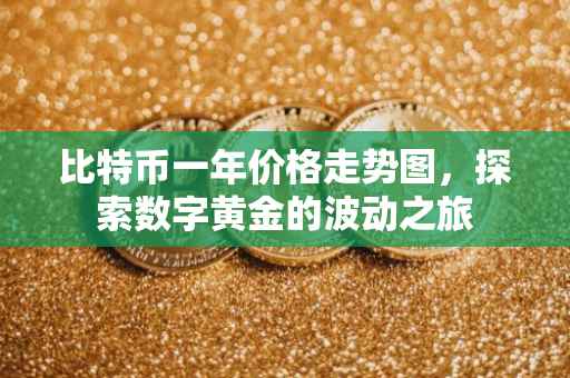 比特币一年价格走势图，探索数字黄金的波动之旅