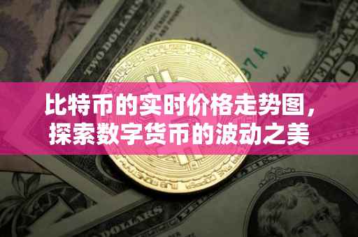 比特币的实时价格走势图，探索数字货币的波动之美