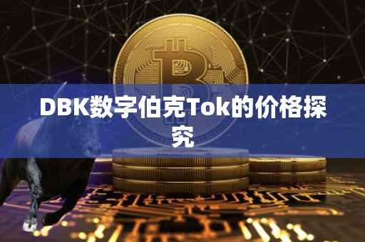 DBK数字伯克Tok的价格探究