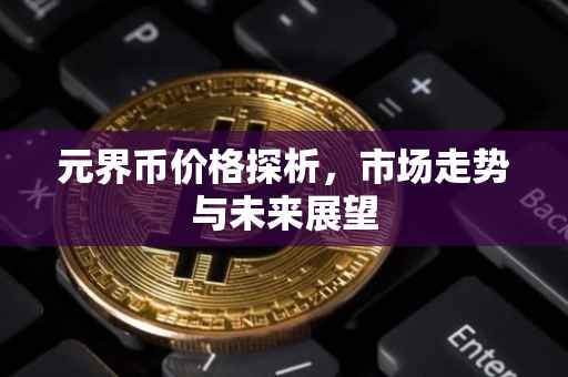元界币价格探析，市场走势与未来展望