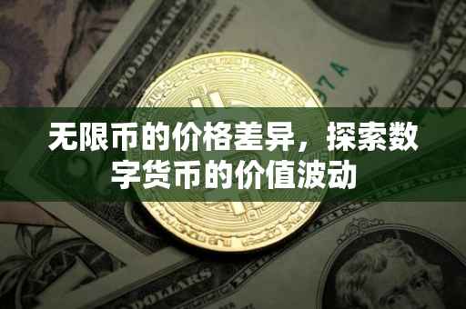 无限币的价格差异，探索数字货币的价值波动
