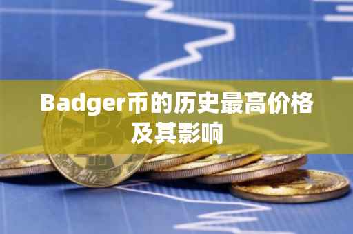 Badger币的历史最高价格及其影响