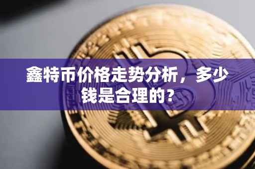 鑫特币价格走势分析，多少钱是合理的？
