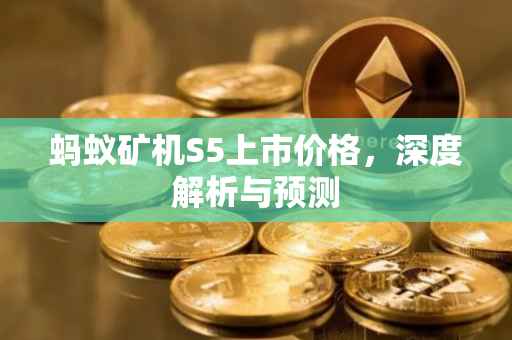 蚂蚁矿机S5上市价格，深度解析与预测