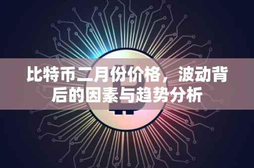 比特币二月份价格，波动背后的因素与趋势分析
