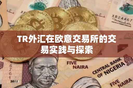 TR外汇在欧意交易所的交易实践与探索