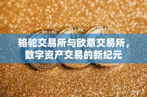 骆驼交易所与欧意交易所，数字资产交易的新纪元