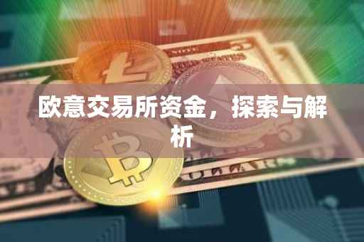 欧意交易所资金，探索与解析