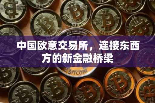 中国欧意交易所，连接东西方的新金融桥梁