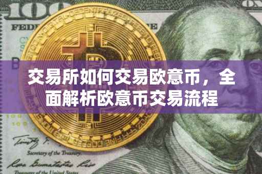 交易所如何交易欧意币，全面解析欧意币交易流程