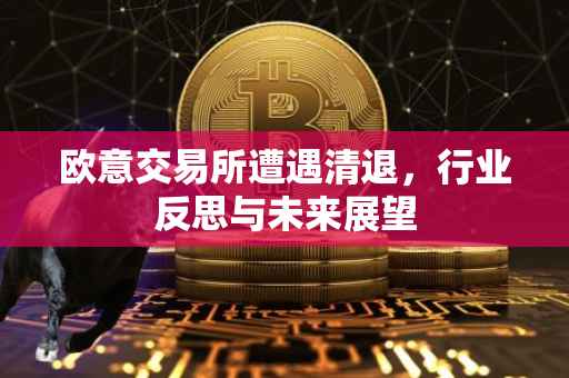 欧意交易所遭遇清退，行业反思与未来展望