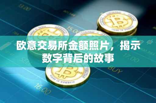 欧意交易所金额照片，揭示数字背后的故事