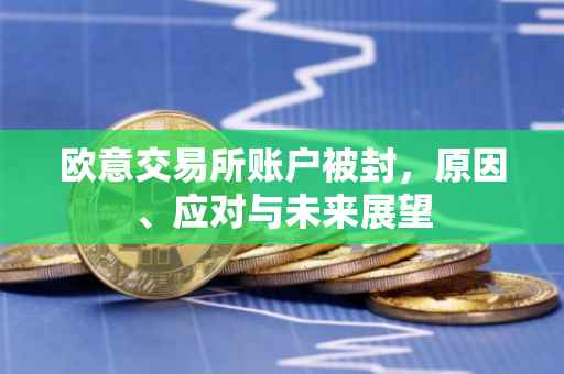 欧意交易所账户被封，原因、应对与未来展望