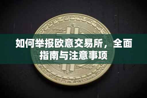 如何举报欧意交易所，全面指南与注意事项