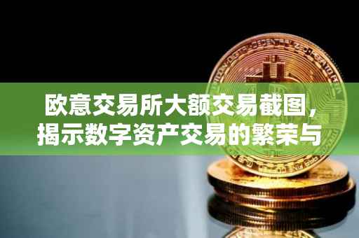 欧意交易所大额交易截图，揭示数字资产交易的繁荣与挑战