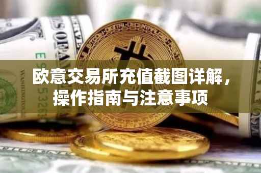欧意交易所充值截图详解，操作指南与注意事项