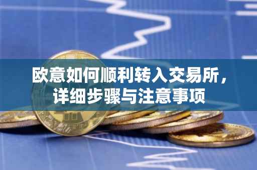 欧意如何顺利转入交易所，详细步骤与注意事项